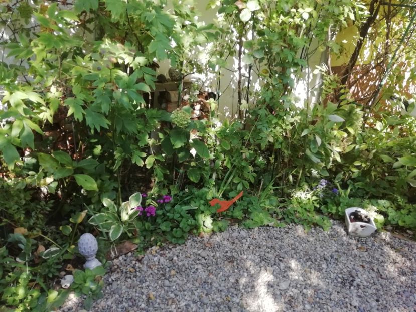  - Grădina 2019 sfârșit de sezon