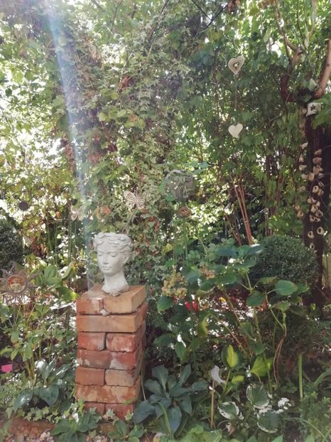  - Grădina 2019 sfârșit de sezon