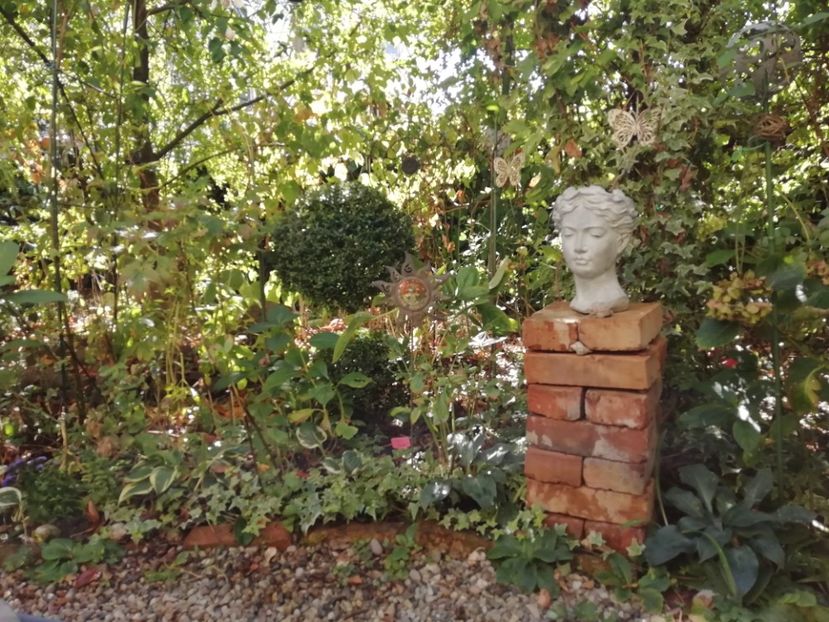  - Grădina 2019 sfârșit de sezon