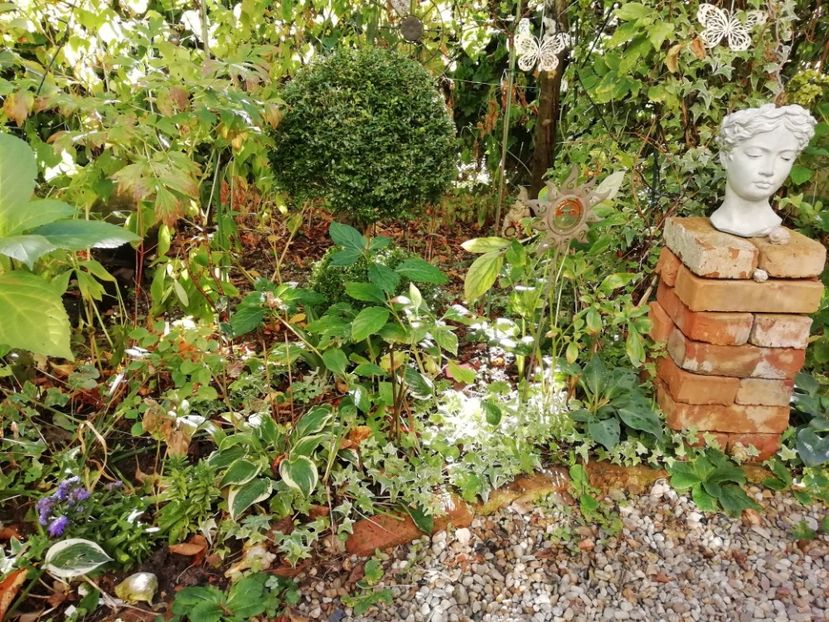  - Grădina 2019 sfârșit de sezon