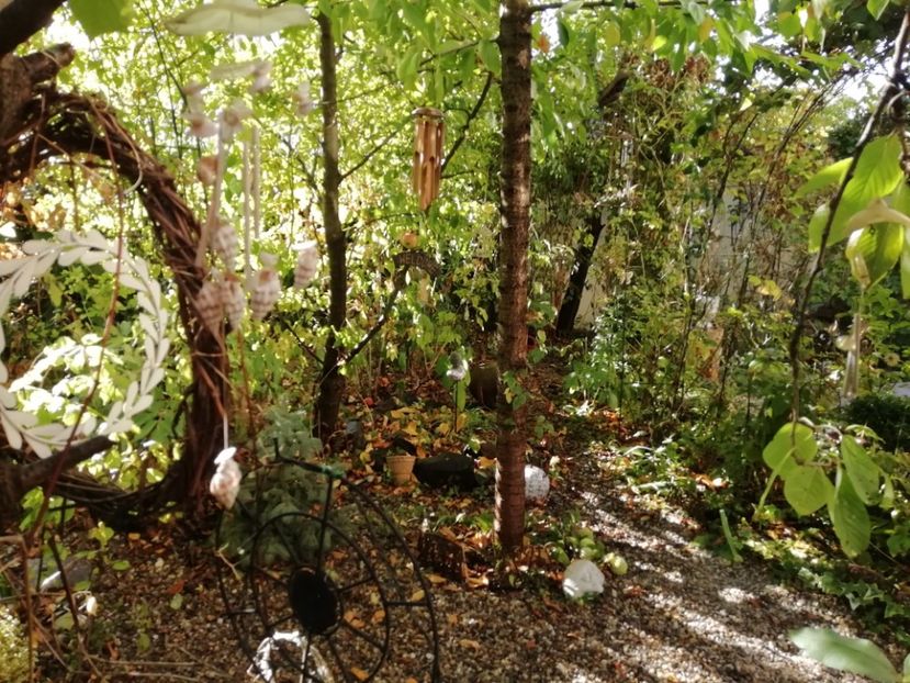  - Grădina 2019 sfârșit de sezon