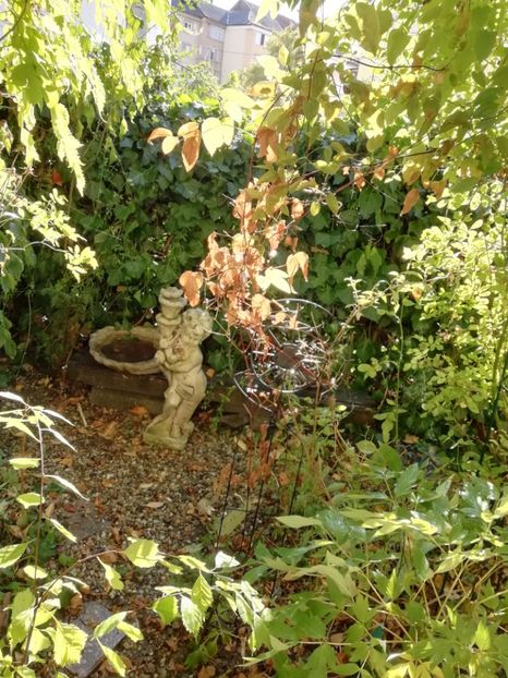  - Grădina 2019 sfârșit de sezon