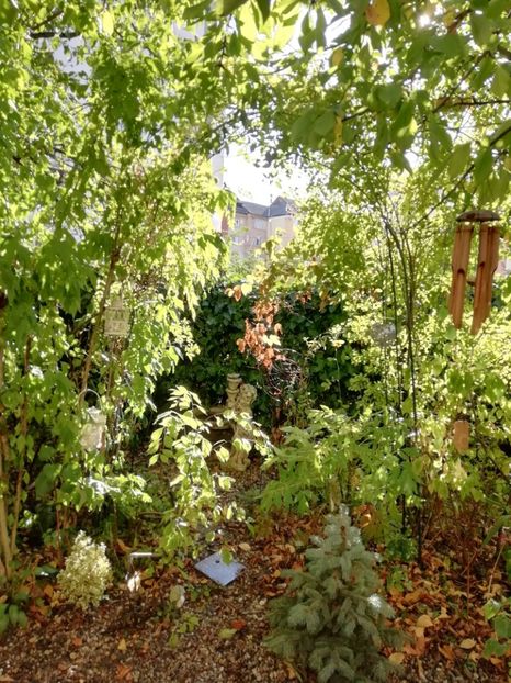  - Grădina 2019 sfârșit de sezon