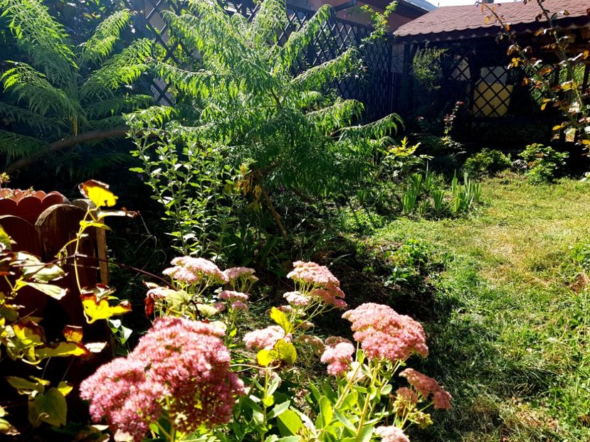  - 2019 Vara si Toamna