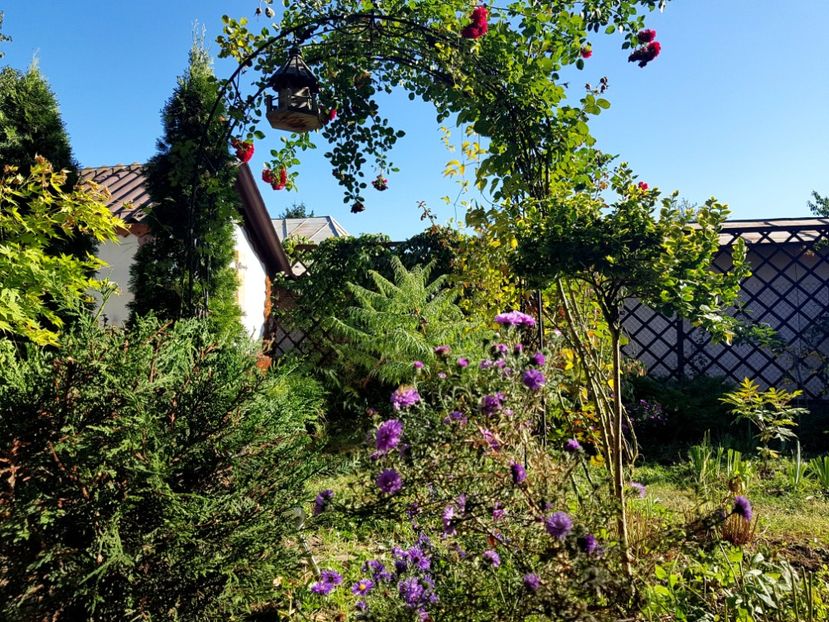  - 2019 Vara si Toamna