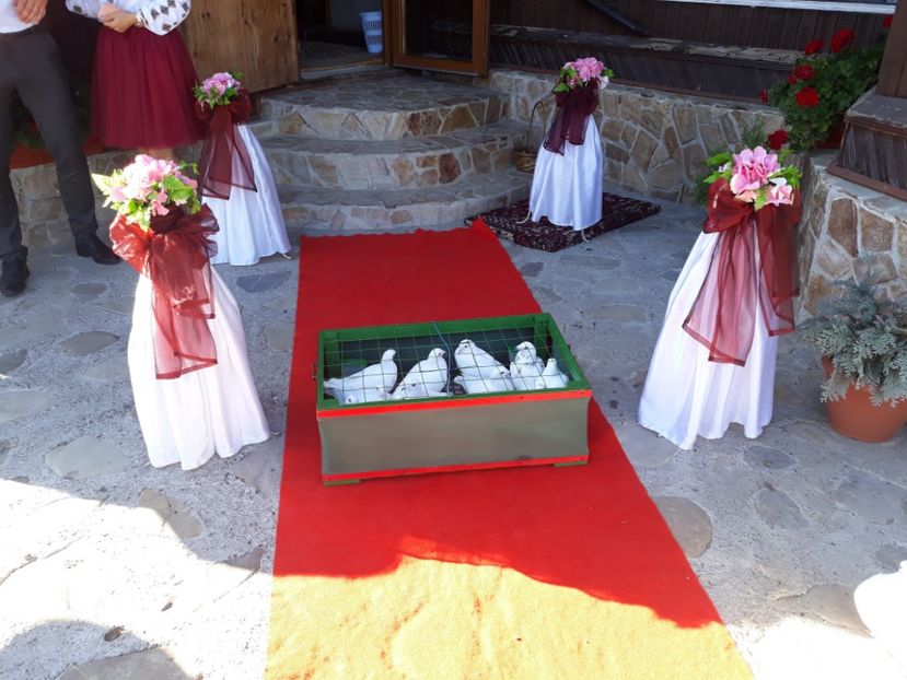  - Sectiunea 1C-Porumbei albi pentru evenimente