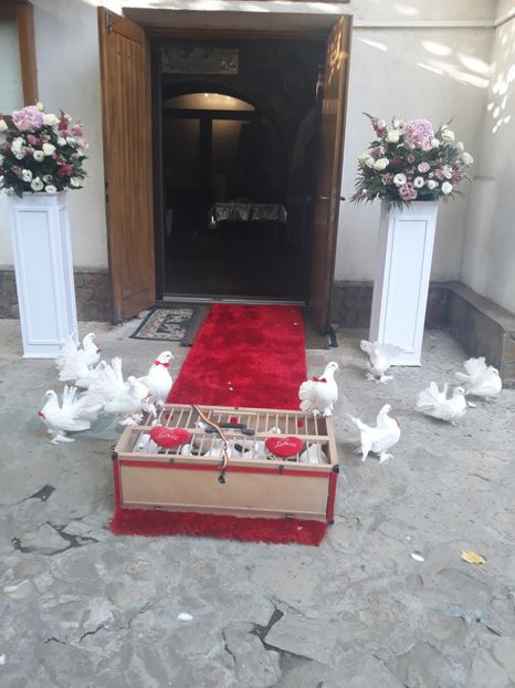  - Sectiunea 1C-Porumbei albi pentru evenimente