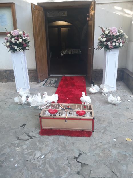  - Sectiunea 1C-Porumbei albi pentru evenimente