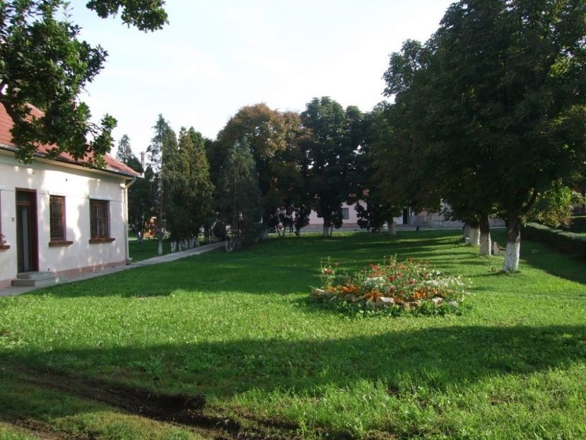 rock club borsa maramures transilvania - FOSTUL SPITAL DE BOLI PSIHICE CRONICE ROCK CLUB BORSA MARAMURES resedinta privata