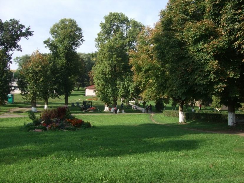 rock club borsa maramures transilvania - FOSTUL SPITAL DE BOLI PSIHICE CRONICE ROCK CLUB BORSA MARAMURES resedinta privata