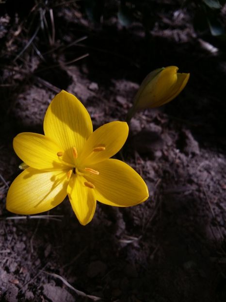  - curtea cu toate cele 2019