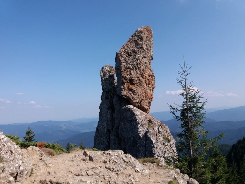 Cuşma Dorobanțului - Munții Ceahlău-august 2019