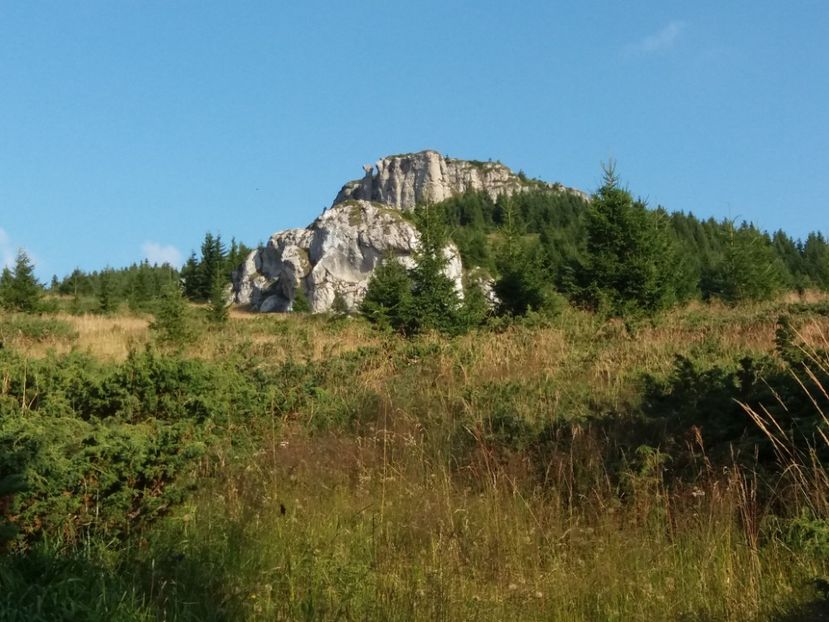 Vf.Ocolașul Mare(1907m) - Munții Ceahlău-august 2019
