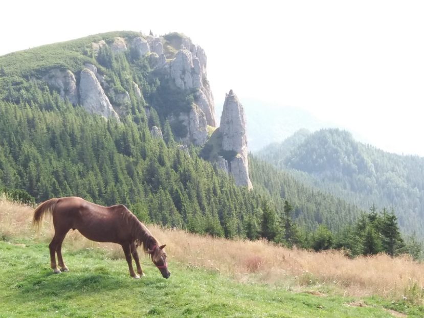  - Munții Ceahlău-august 2019