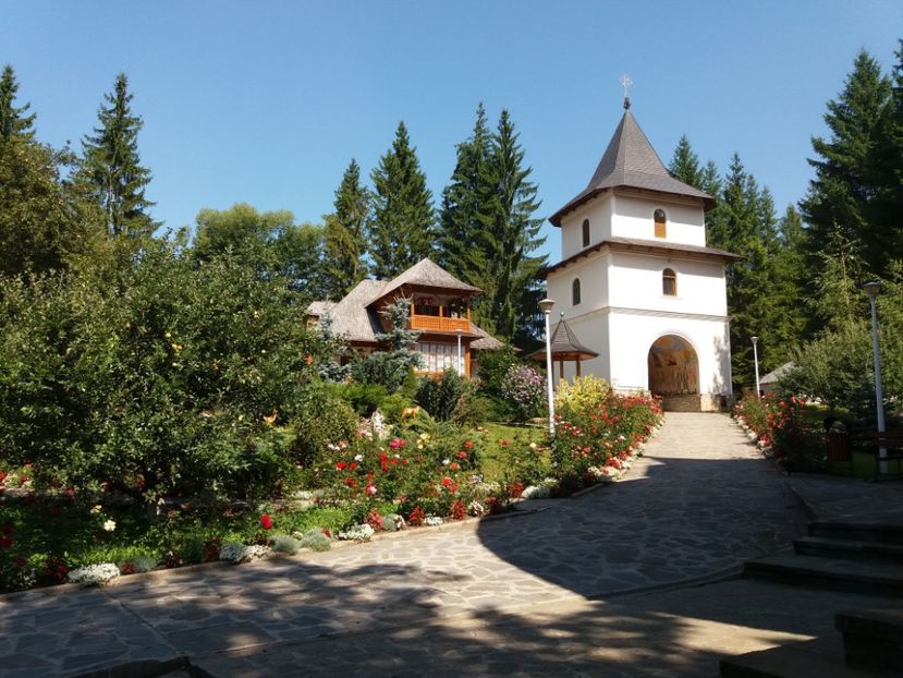  - Munții Ceahlău-august 2019