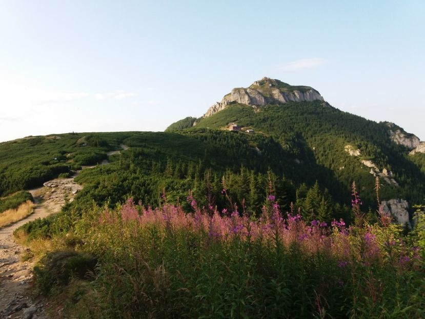 Vf.Toaca(1904m) - Munții Ceahlău-august 2019