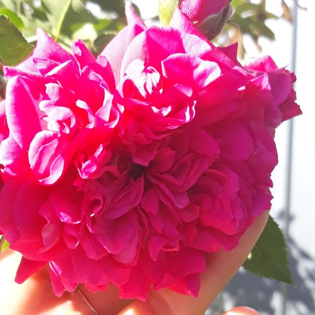  - Septembrie2019