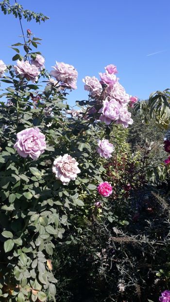  - Septembrie2019