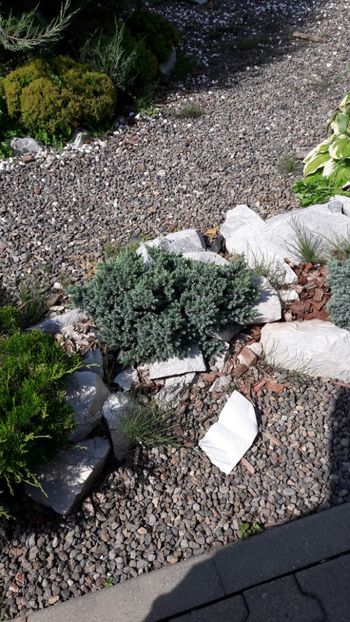  - Concediu 2019 Sovata Sighisoara