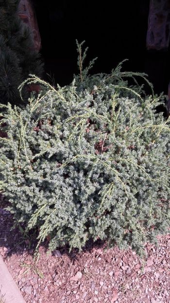  - Concediu 2019 Sovata Sighisoara