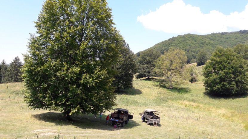  - Concediu 2019 Sovata Sighisoara