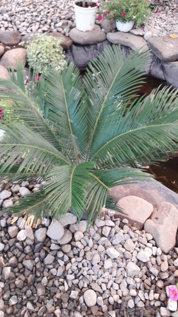  - Concediu 2019 Sovata Sighisoara