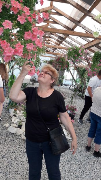  - Concediu 2019 Sovata Sighisoara