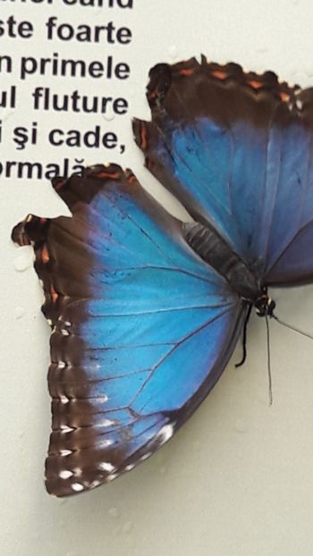  - Concediu 2019 Sovata Sighisoara