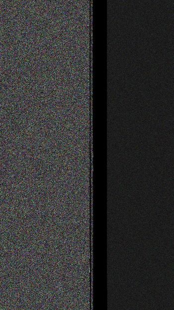  - Porumbei americani