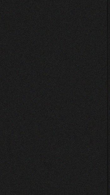  - Porumbei americani