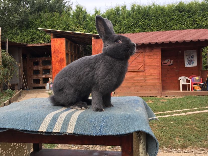 AA404735-562F-4A06-BBD0-7FE7F808806B - 1 CONTACT