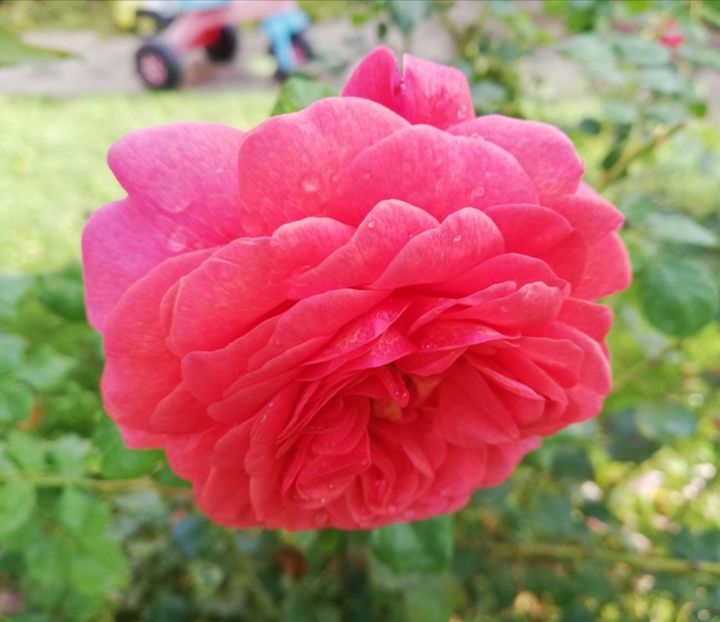  - Christopher Marlowe