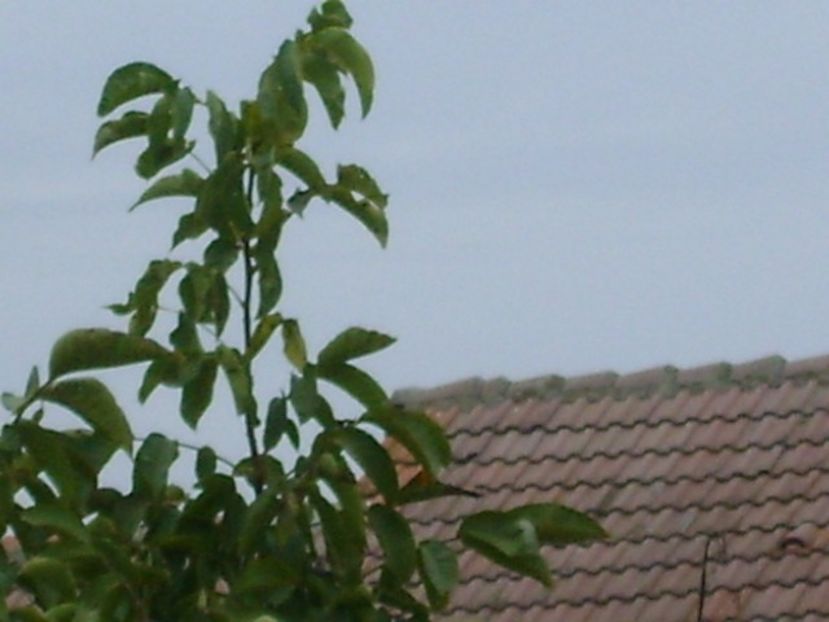 23 sept. 2019 - Echinoctiul de toamna - Toamna 2018-2019