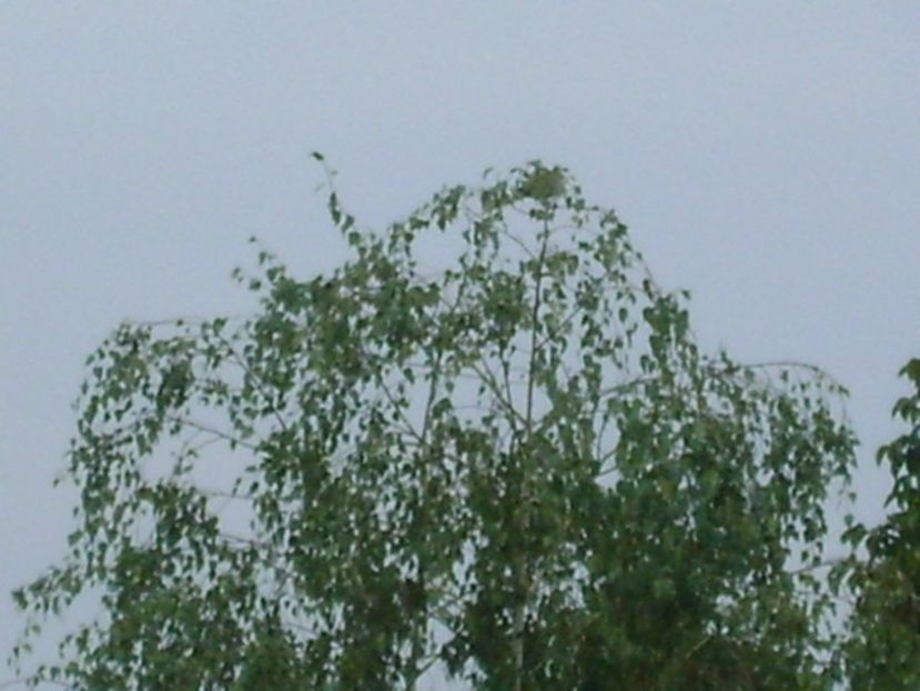 23 sept. 2019 - Echinoctiul de toamna - Toamna 2018-2019