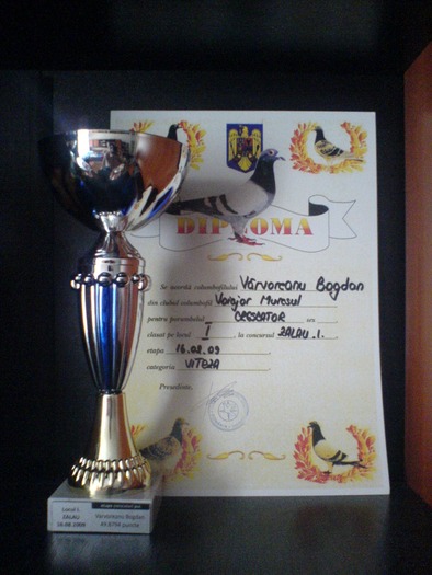 DSC05097 - rezultate Virvoreanu Bogdan