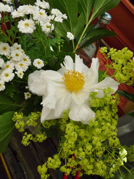 2019 - 01 - Floristica