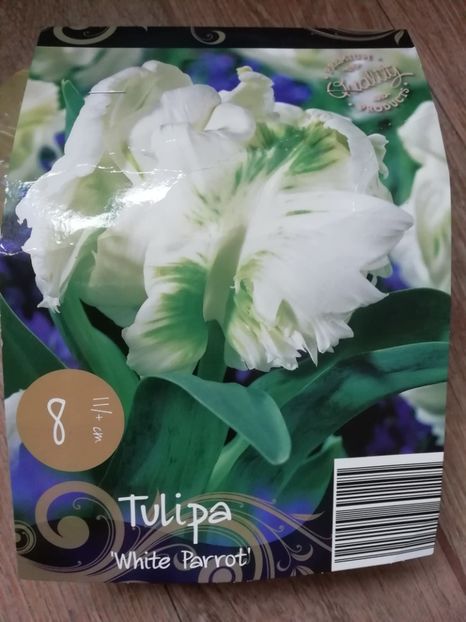 26.09 lidl - Achizitii 2019