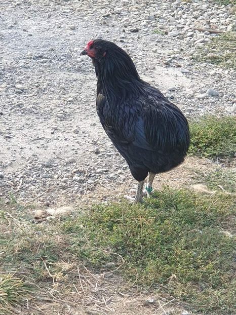 received_391184598224560 - 00 Poze 2019