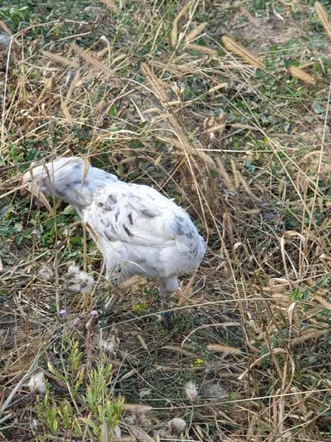 received_836110716803385 - 00 Poze 2019