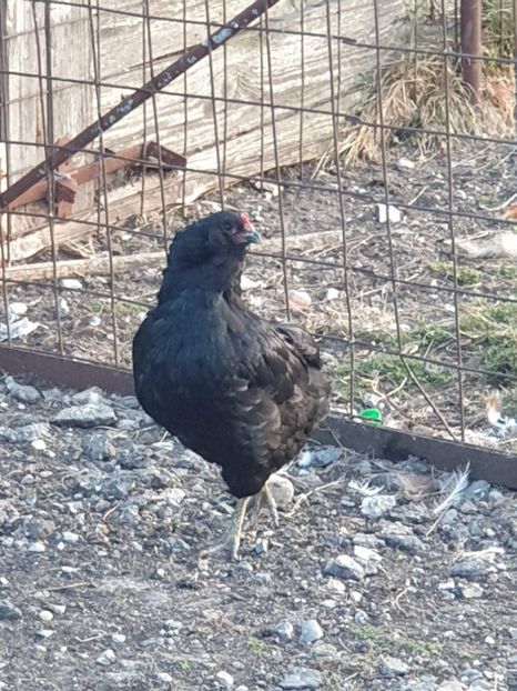 received_2136546056646389 - 00 Poze 2019