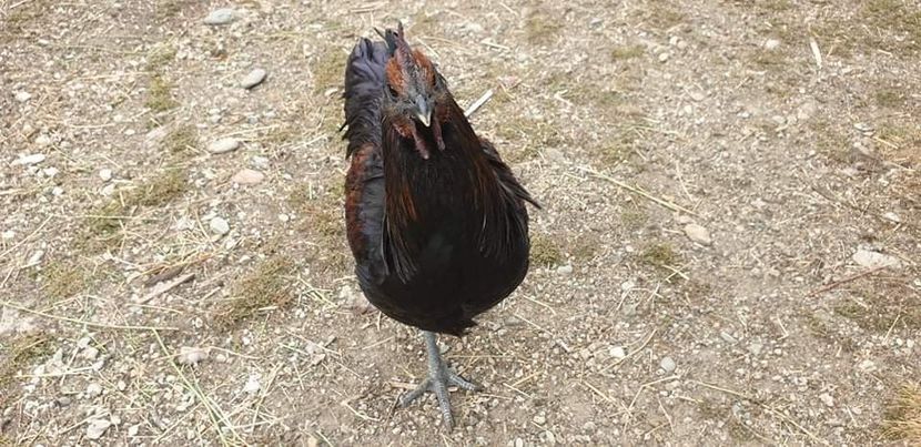 received_1193746707479839 - 00 Poze 2019