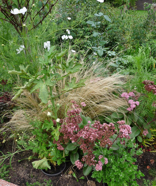  - 2019 - 03 - Toamna