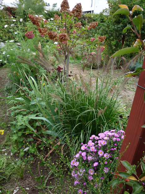  - 2019 - 03 - Toamna