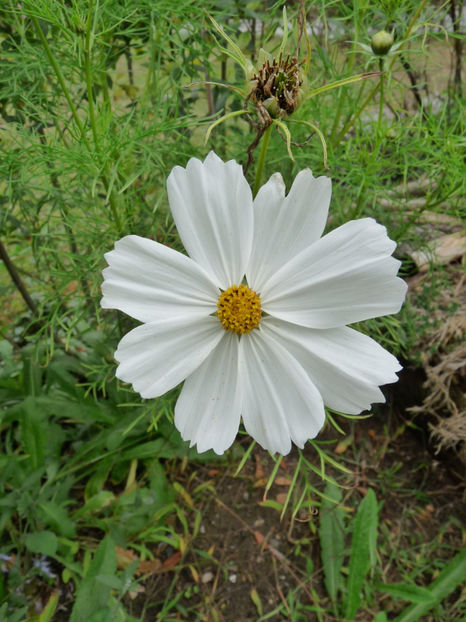  - 2019 - 03 - Toamna