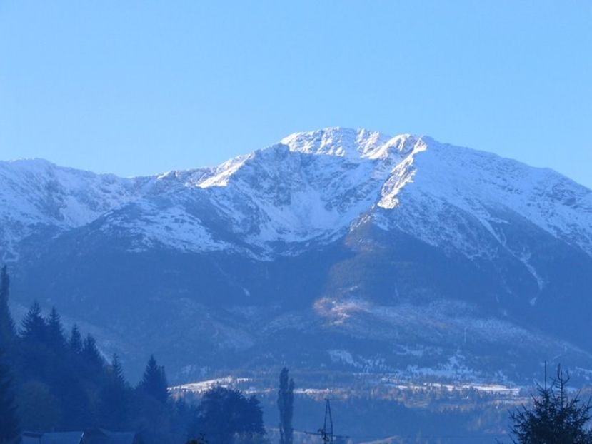  - FOSTUL SPITAL DE BOLI PSIHICE CRONICE ROCK CLUB BORSA MARAMURES resedinta privata