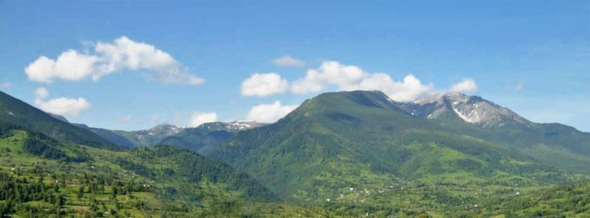  - FOSTUL SPITAL DE BOLI PSIHICE CRONICE ROCK CLUB BORSA MARAMURES resedinta privata