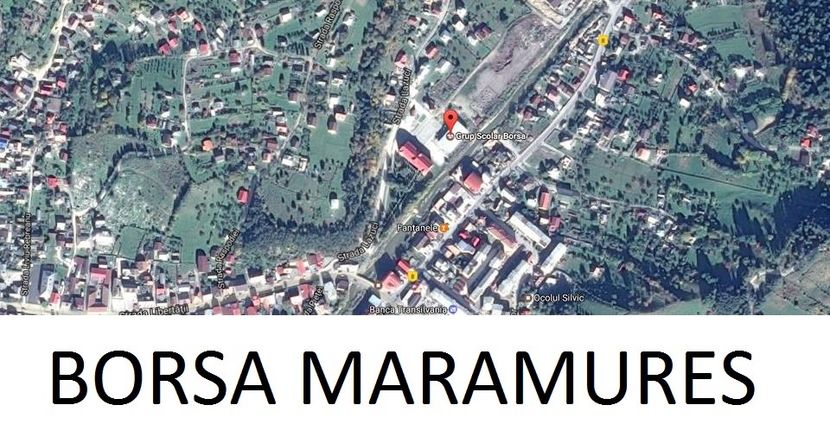 BORSA MARAMURES - FOSTUL SPITAL DE BOLI PSIHICE CRONICE ROCK CLUB BORSA MARAMURES resedinta privata