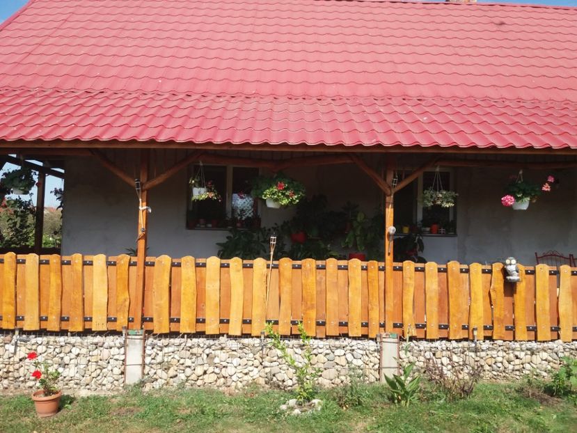 20190913_120052 - Copy - toamna 2019