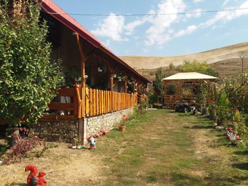 20190913_120133 - Copy - toamna 2019