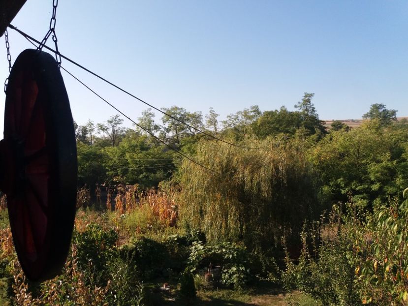  - toamna 2019